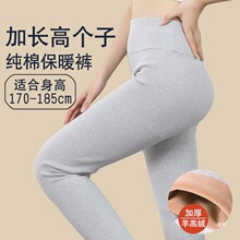 加长高个子175秋冬纯棉加绒加厚保暖裤打底裤高腰大长腿棉毛裤180
