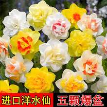 ���m�M���ذ���ˮ�ɻ��N�򶬼��҃����̨����ˮ���׷Nֲ�������