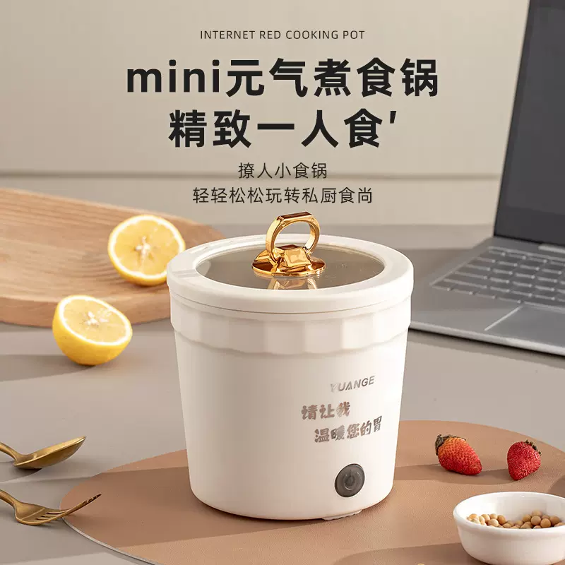 电泡面锅迷你多功能电煮锅速吃锅便携锅煮粥煲汤炖煮学生宿舍神器