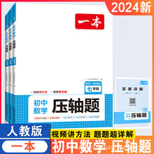 24版一本数学压轴题初中七八九年级初一二三预习复习练习题专项书