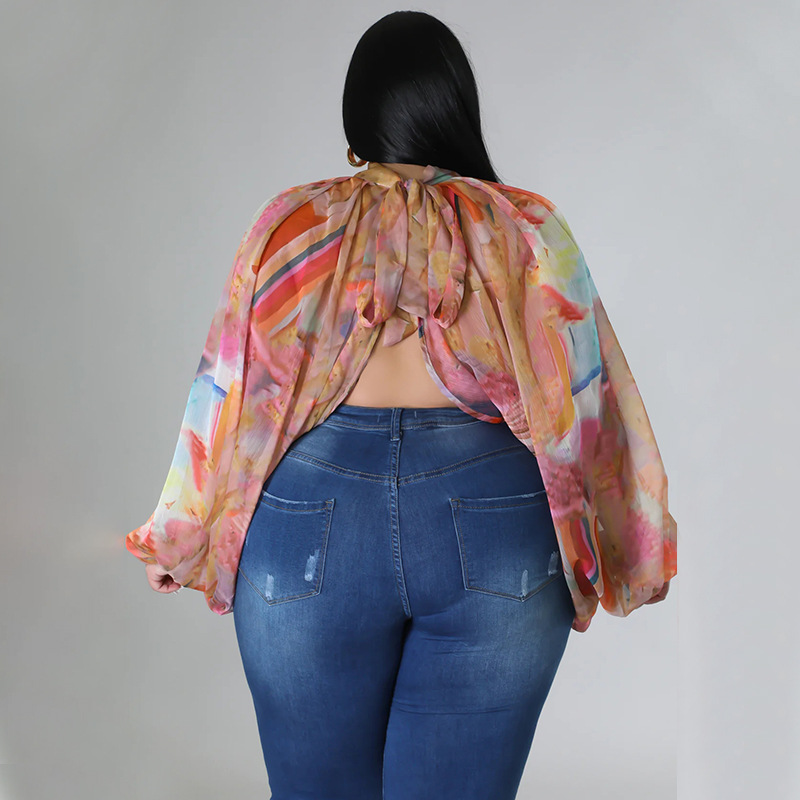 252g Weight Long Sleeve Sleeve Length Regular Sleeve Sleeve Type Spandex, Polyester, Chiffon Fabric Type Long Top Length Blouse Tops Type Daily, Street Occasion Round Neck Neckline Regular Fit Fit Type Color Block Pattern Spring&Summer Season Streetwear Style Blouse Long Sleeve Plus Size Tops Streetwear Color Block 22