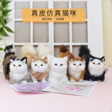 ��Ƥ����С؈��ë�q�����żģ�͹��Ѓ�ͯ�J֪�̌W�zӰ���ߔ[��
