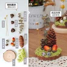 ����ɭ��΢���^��һ��ͯDIY���ϰ��ɹ����[���b�Ʒ�ֹ��Y��