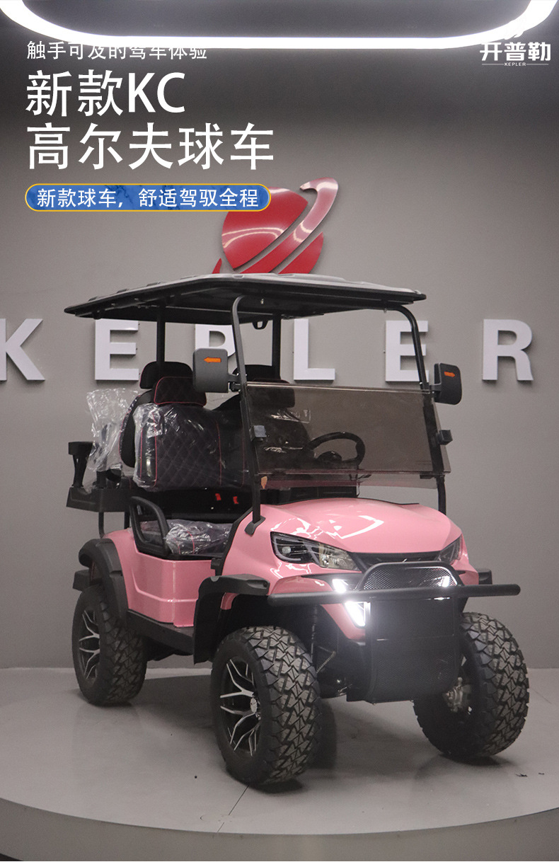 Factory Direct Sales Factory 2-Seater 4-Seater Four-Wheel Golf Cart Tourist Attractions Sightseeing Car Electric Golf Cart