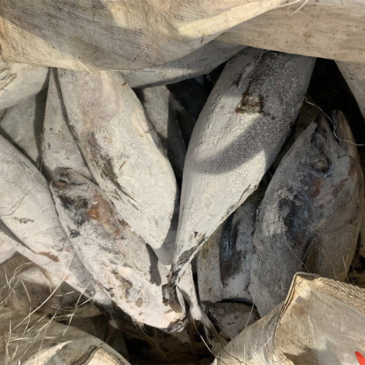 da8768adbcc0c72e18d23c96d101b9