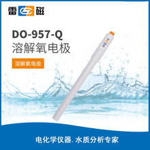 上海雷磁 DO-957-Q 溶氧电极 电极传感器