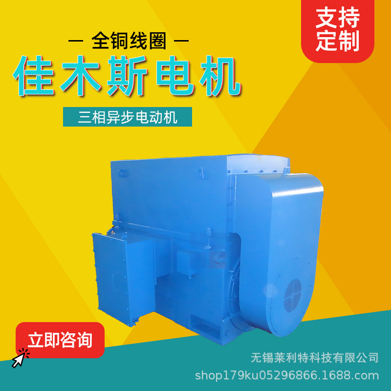 Jiamusi Motor Ymt Series Three-Phase Asynchronous Motor for Coal Grinding Mills with All-Copper Coils, Direct Supply from the Manufacturer