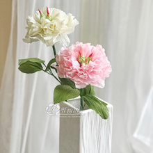 ��ș���y���ް�����DIY���ϰ� ��ˇ �ֹ��������b 6��/��