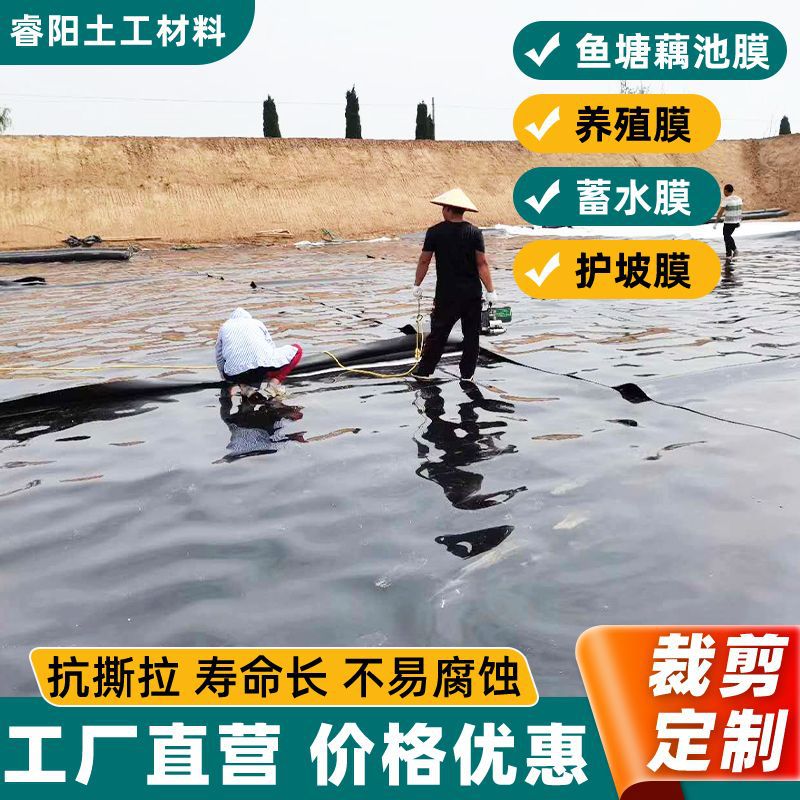 土工膜生产厂家批发经久耐用供应水库工程莲藕池蓄水池专用防渗膜