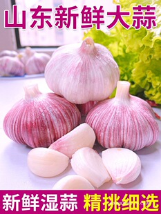 �F����Ƥ�����^���r���������10�������Ǵ������߲�2025ɽ�|