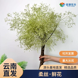 鲜切花;干花;园艺工具