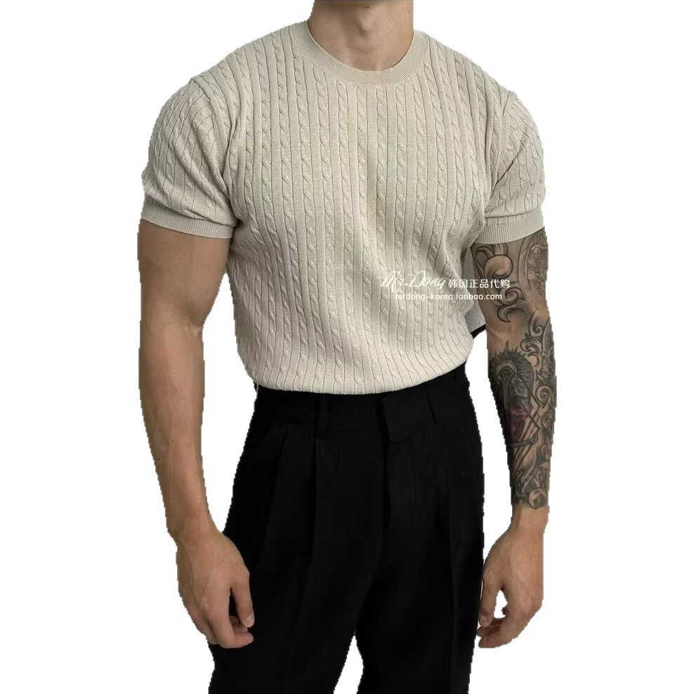 Suéter de punto de manga corta torta sensación de textura masculina Negocio británico autocultivo muscular seda de hielo verano comercio exterior transfronterizo al por mayor