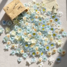 �����ֹ��^��Ϲ��L�����������b�diy������hС���^�{ɫ