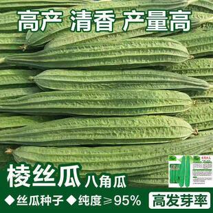 ����Ǵ���z�ϷN�ӡ��˽�ˮ���̨�ˈ@����ͥԺ�߲˷N���ļ�