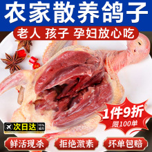 �������r�F�����w�������������������r�r��ɢ�B�ҟ������r������