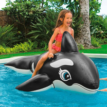 跨境热销黑鲸鱼游泳池充气浮排户外游泳儿童坐骑水上玩具游泳派对
