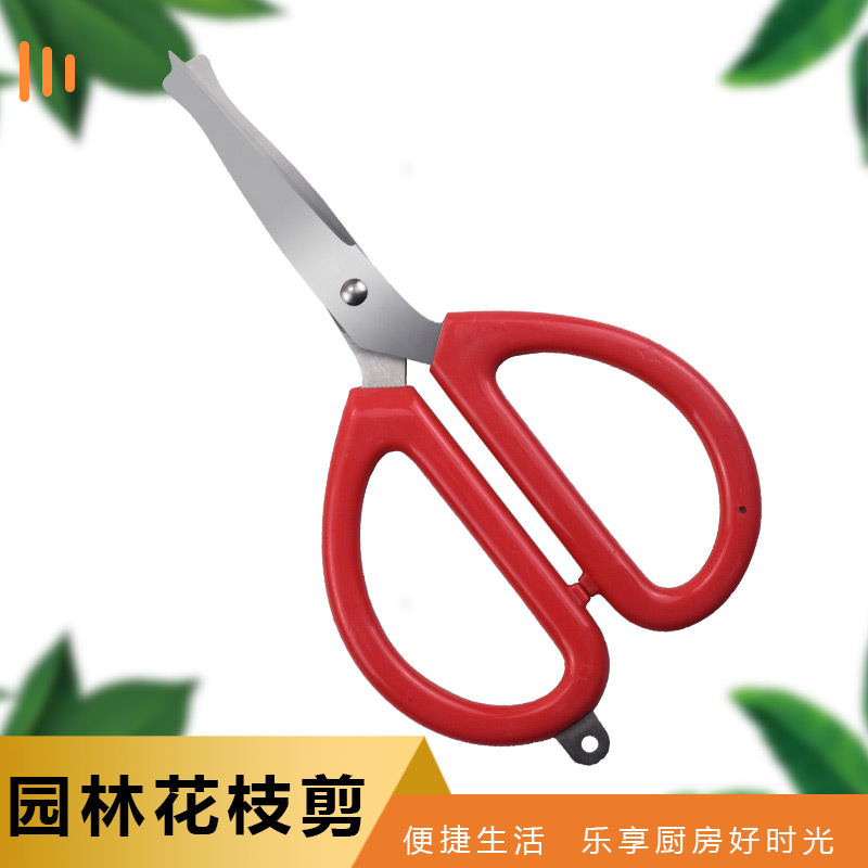 生产厂家不锈钢修枝剪刀摘果剪蔬果剪葡萄剪稀果剪柑橘葡萄翘头剪