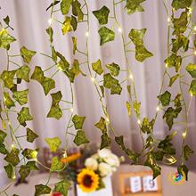 ���羳�G�~�ٗl�������~���� led�~�����~�bʟ���̫���