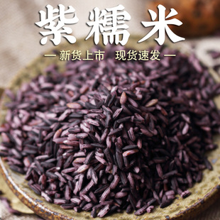 ������Ŵ�׬F؛�F�l�Ŵ���Ϻ�Ŵ��������F���������s�Z����h