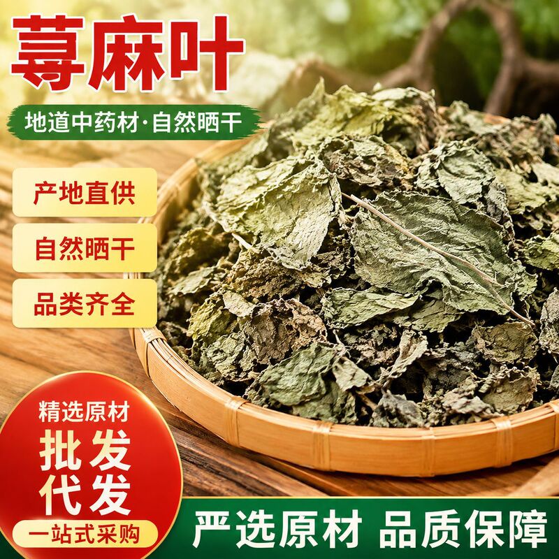 New Arrivals: Nettle Leaf Chinese Herbal Medicine, Nettle Leaf Tea, Nettle Leaf, Nettle Root, Nettle New Arrivals: Nettle Leaf Chinese Herbal Medicine, Nettle Leaf Tea, Nettle Leaf, Nettle Root, Nettle