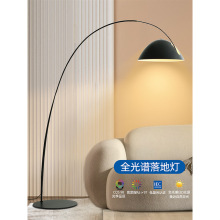 钓鱼灯落地灯客厅沙发餐厅直播led立式北欧ins设计感ins风家居