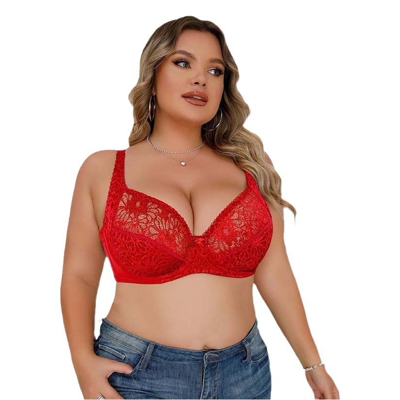 Cross-Border European and American Plus-Size Lingerie, Sexy Lace Underwire Push-Up Bra, Women's Large Bra, Amazon Foreign Trade Wholesale