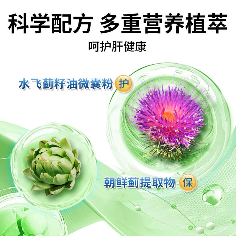 厂家直供 水飞蓟籽油人参夜肝片水飞蓟姜黄加班熬夜喝酒肝片60片|undefined