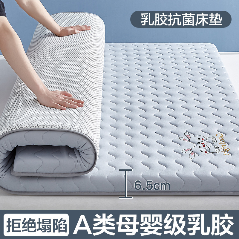 乳胶记忆棉床垫软垫家用卧室榻榻米加厚学生宿舍单人租房专用睡垫|undefined