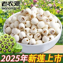 ɏ ؛ ؼ  oҰɏrĥƤȥİɏӰٺϸyɏ