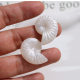 New quicksand feeling dizzy resin color half-face simulation conch patch DIY earrings earrings female accessories