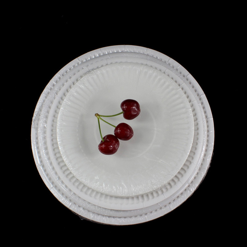 Placa de papel de 6 pulgadas Placa de pastel blanco desechable Placa de barbacoa Placa de fruta Placa de papel de pintura hecha a mano de jardín de infantes