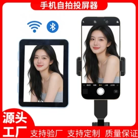 蓝牙耳机;蓝牙音箱;其他生活电器