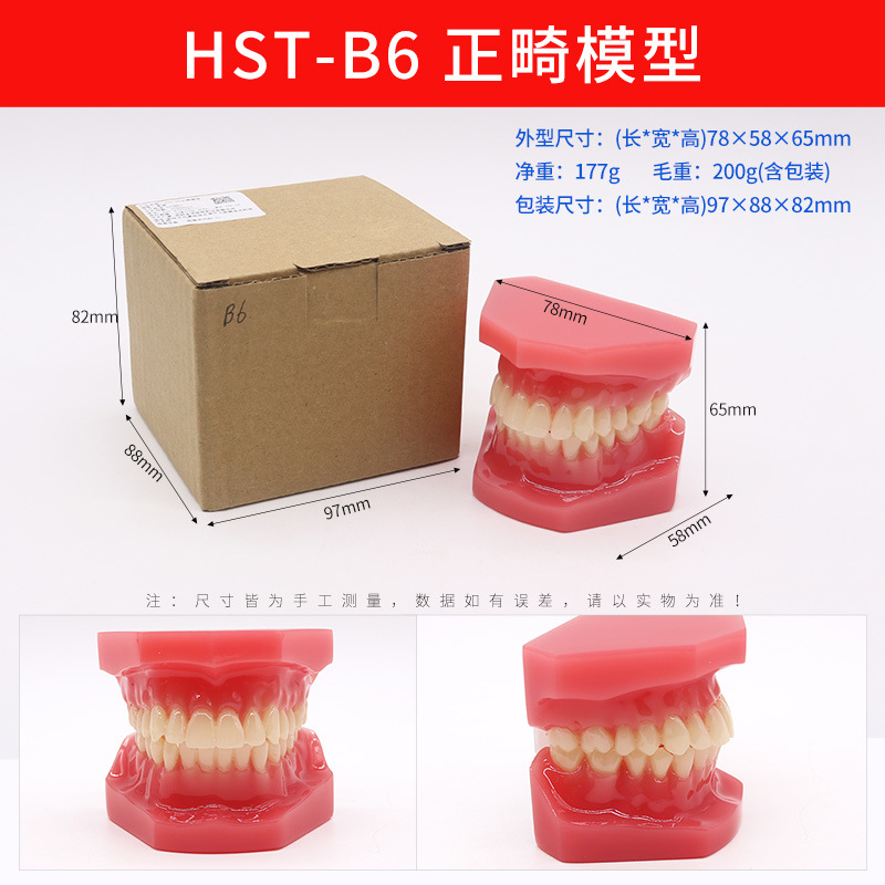 Modelo de ortodoncia dental semi-metal semibrackets Práctica de corrección de molde dental estándar Comunicación médico-paciente Modelo de enseñanza Modelo dental