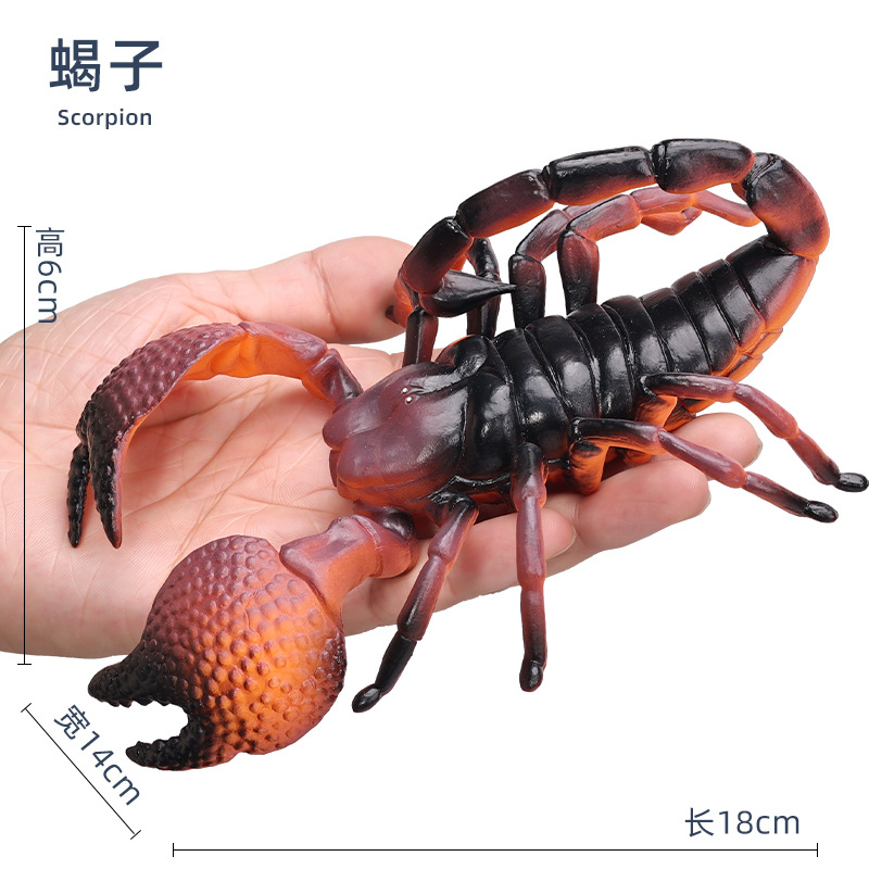Scorpion