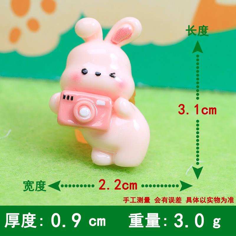 Camera pink rabbit