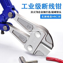 䓽���ྀ�Qʡ����܇�i䓽z�F�z�����Q���Ɖ������ք�䓽z�Ӱ��]