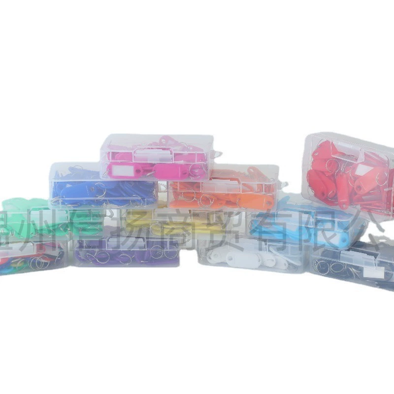 Plastic removable keychain for keys for office