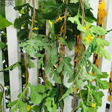 �����������Ϲ��������p�@��@�L�b��ٗl�r��ׯ���r����پGֲ