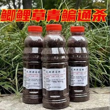 瓦斯特窝料秋冬季打窝料黑坑饵料酒米鲫鱼鲤鱼黄尾钓垂钓发酵默认