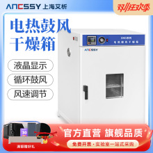 上海电热鼓风干燥箱实验室烘箱工业烘干箱恒温烤箱高温试验箱