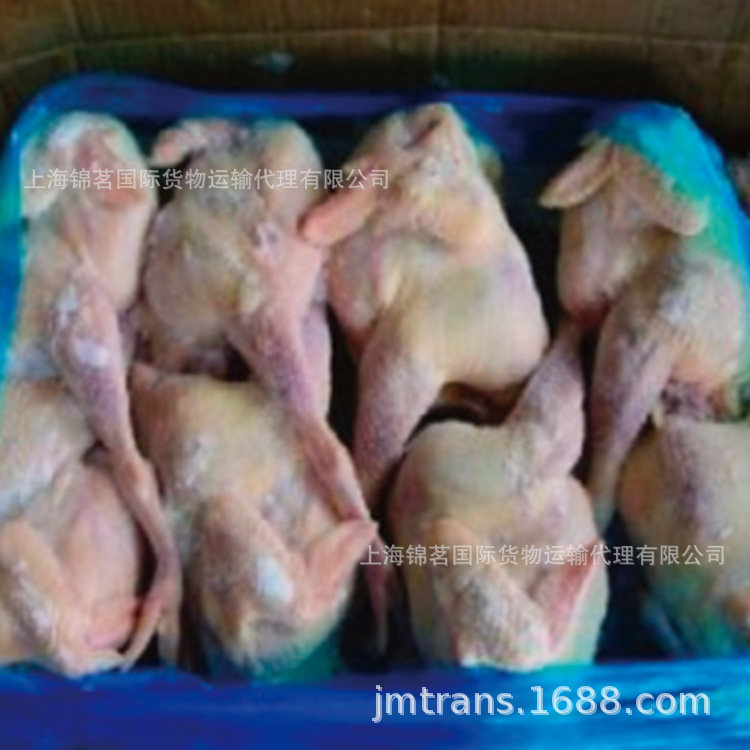 进口冷链物流清关运输及冷链物流