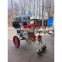 蔬菜秧苗移栽机 辣椒载苗机 红薯大葱培苗机 两行自走式育苗机