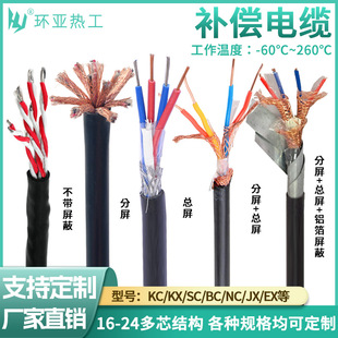 Kx Compensation Cable Ex Multi-Core Multi-Point Shielding Flame Retardant Thermocouple Tx Compensation Cable