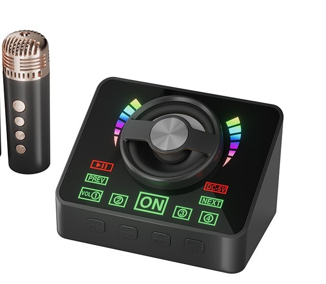 K12K30 Bluetooth カラオケ オーディオ オールインワン マイク マイク ライト付き アウトドア 子供 家族 KTV スピーカー セット|undefined