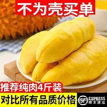 榴莲水果批发顺丰急发冷冻果肉猫山王现剥速冻肉亚马逊一件代发，