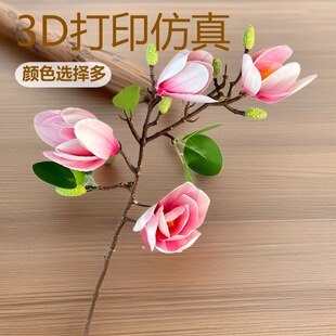 �羳���Q��c3D�zƬ���滨��4�^���m�ҾӾƵ�廨�b������m��