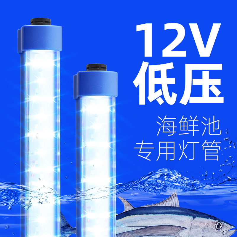 12V LED light for seafood tanks, special lighting for aquatic products in farmers' markets, 36V aquarium blue and white light, low voltage 24V waterproof pipe.