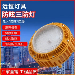 定制LED防爆灯防眩泛光灯防水防尘灯平台灯车间电厂led三防灯