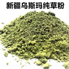乌斯曼纯草粉吾斯曼绿色植物防脱滋养发根毛囊发际线浓密