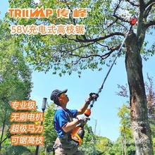 ����58V���ʽ��֦���늄Ӹ߿��ժ�����֦��֦�䏘�����